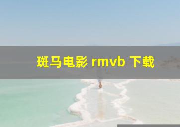 斑马电影 rmvb 下载